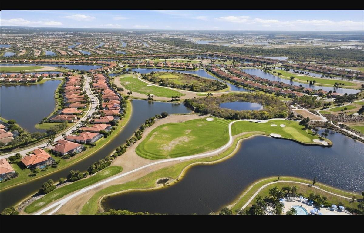 24229 SPARTINA DR