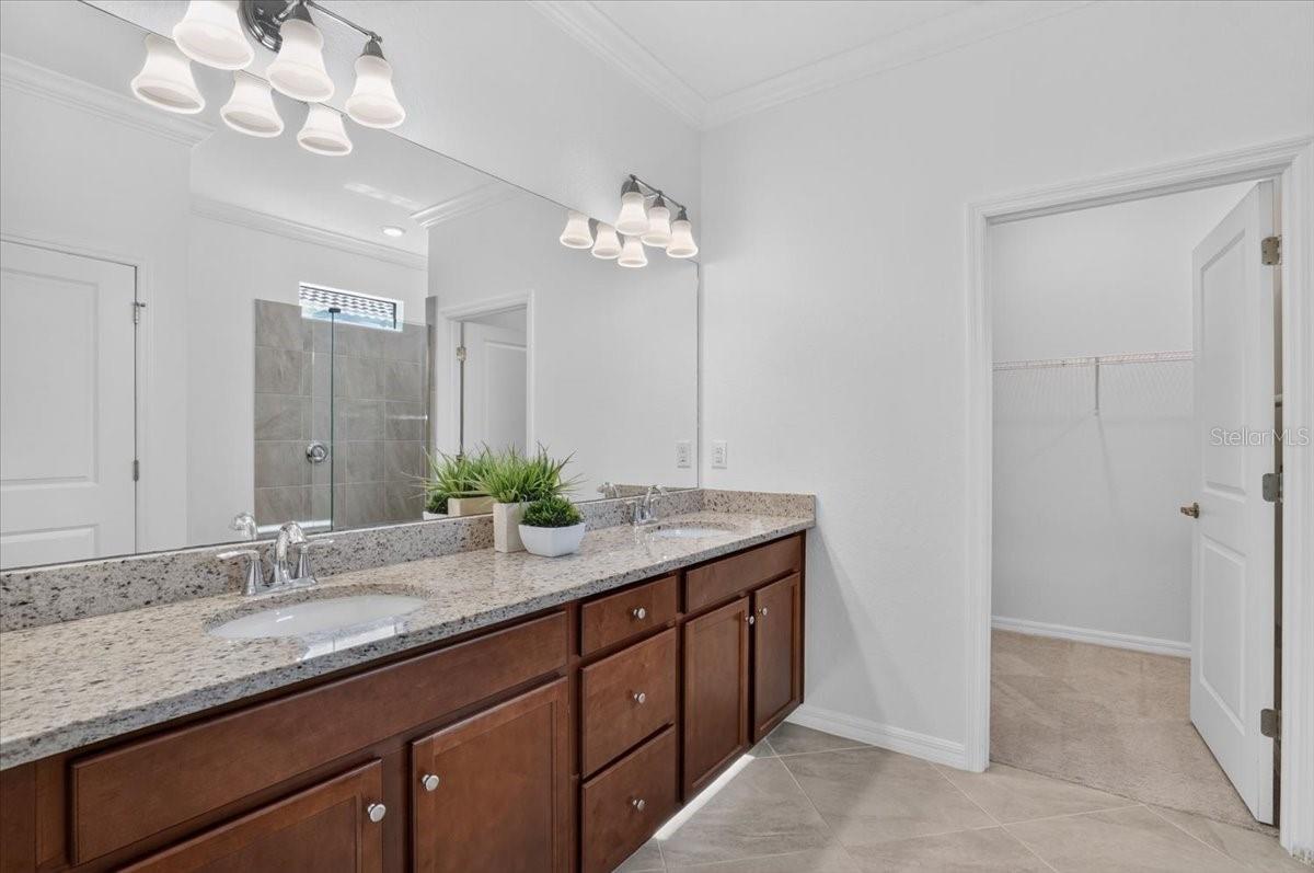 24229 SPARTINA DR