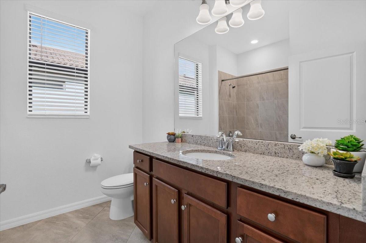24229 SPARTINA DR