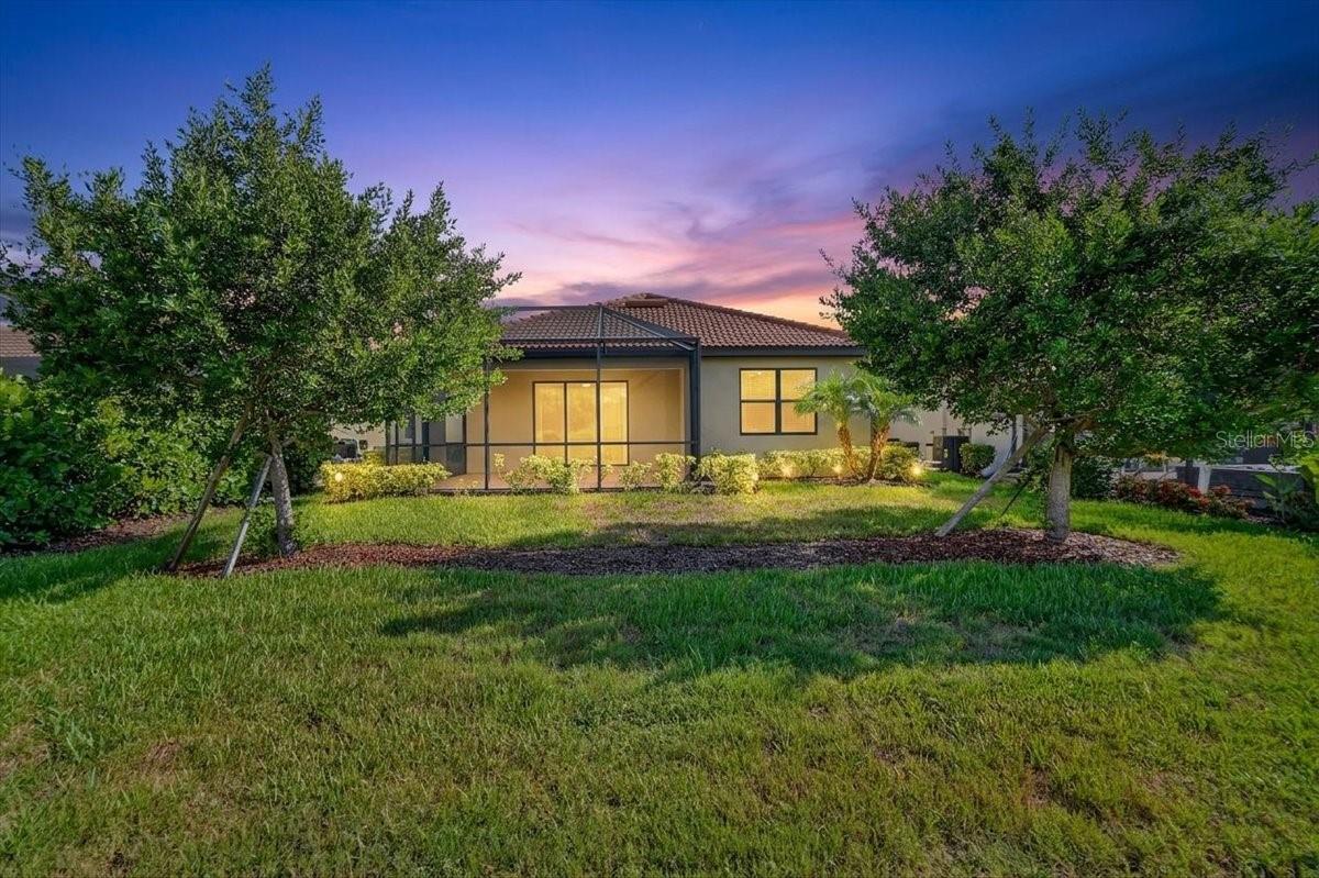 24229 SPARTINA DR