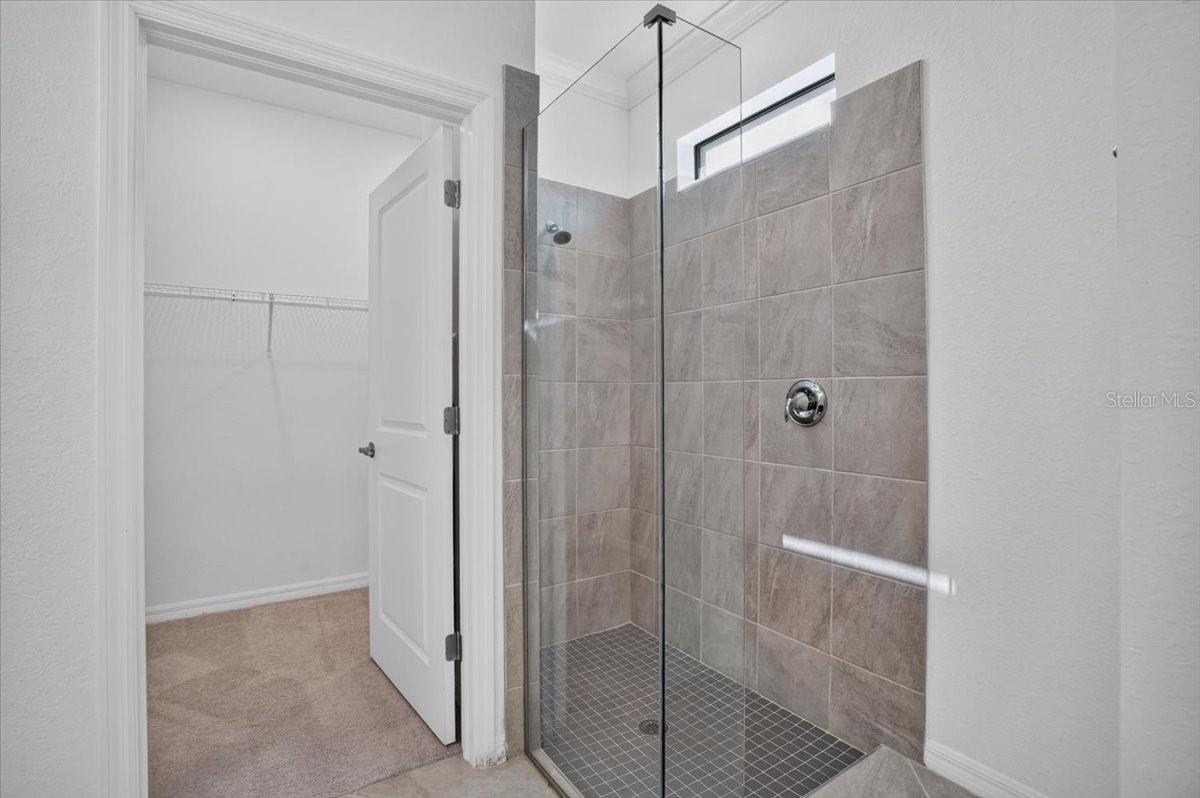 24229 SPARTINA DR
