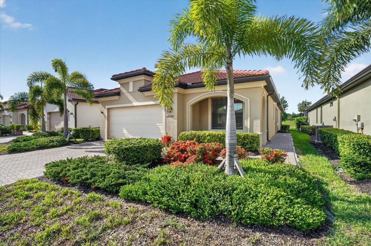 24229 SPARTINA DR