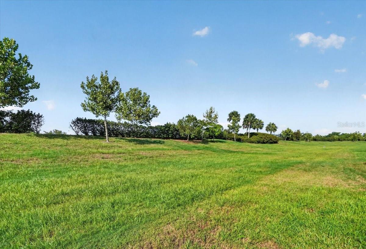 24229 SPARTINA DR