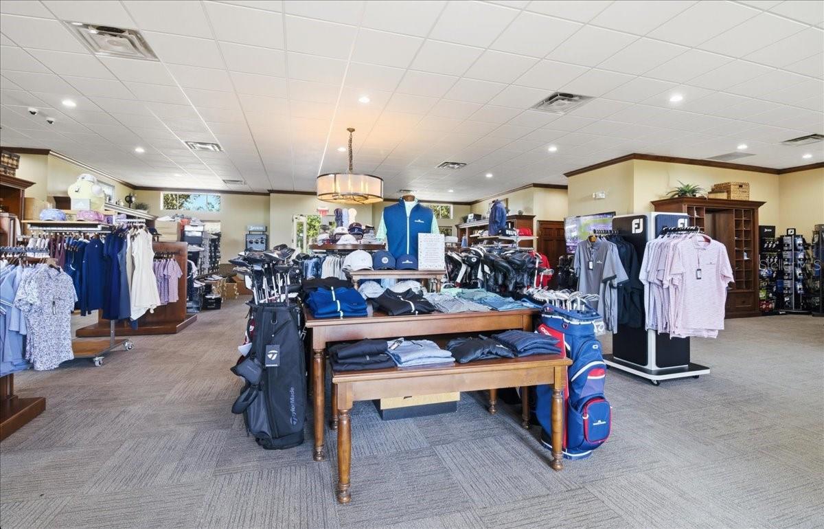 24229 SPARTINA DR