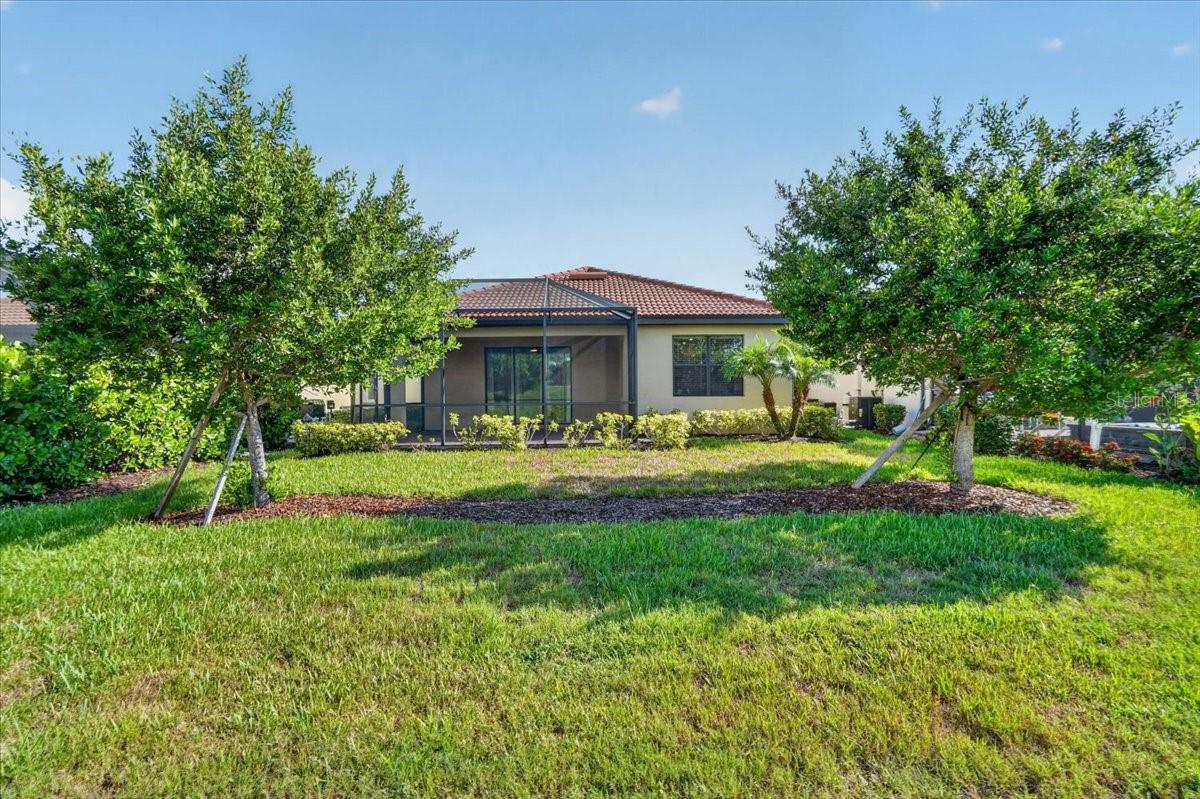 24229 SPARTINA DR