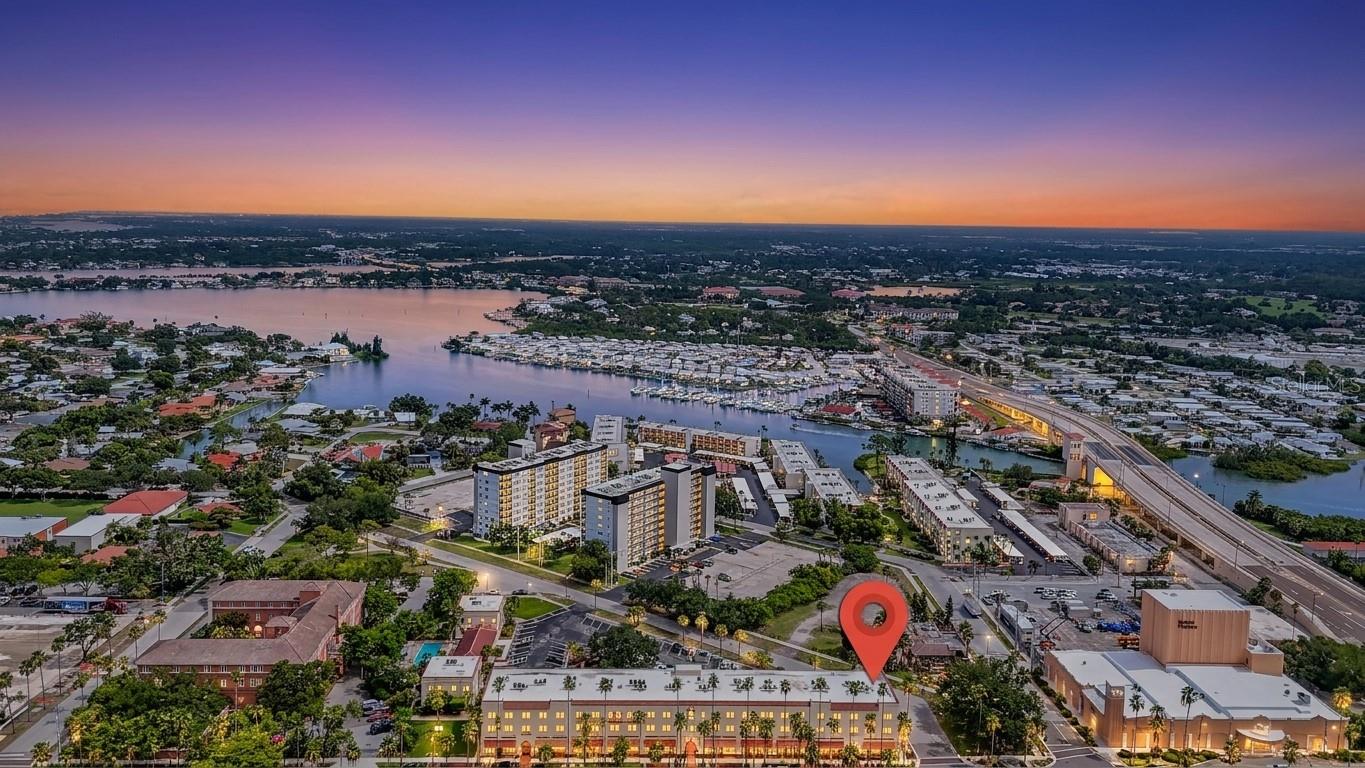 238 TAMPA AVE W #221