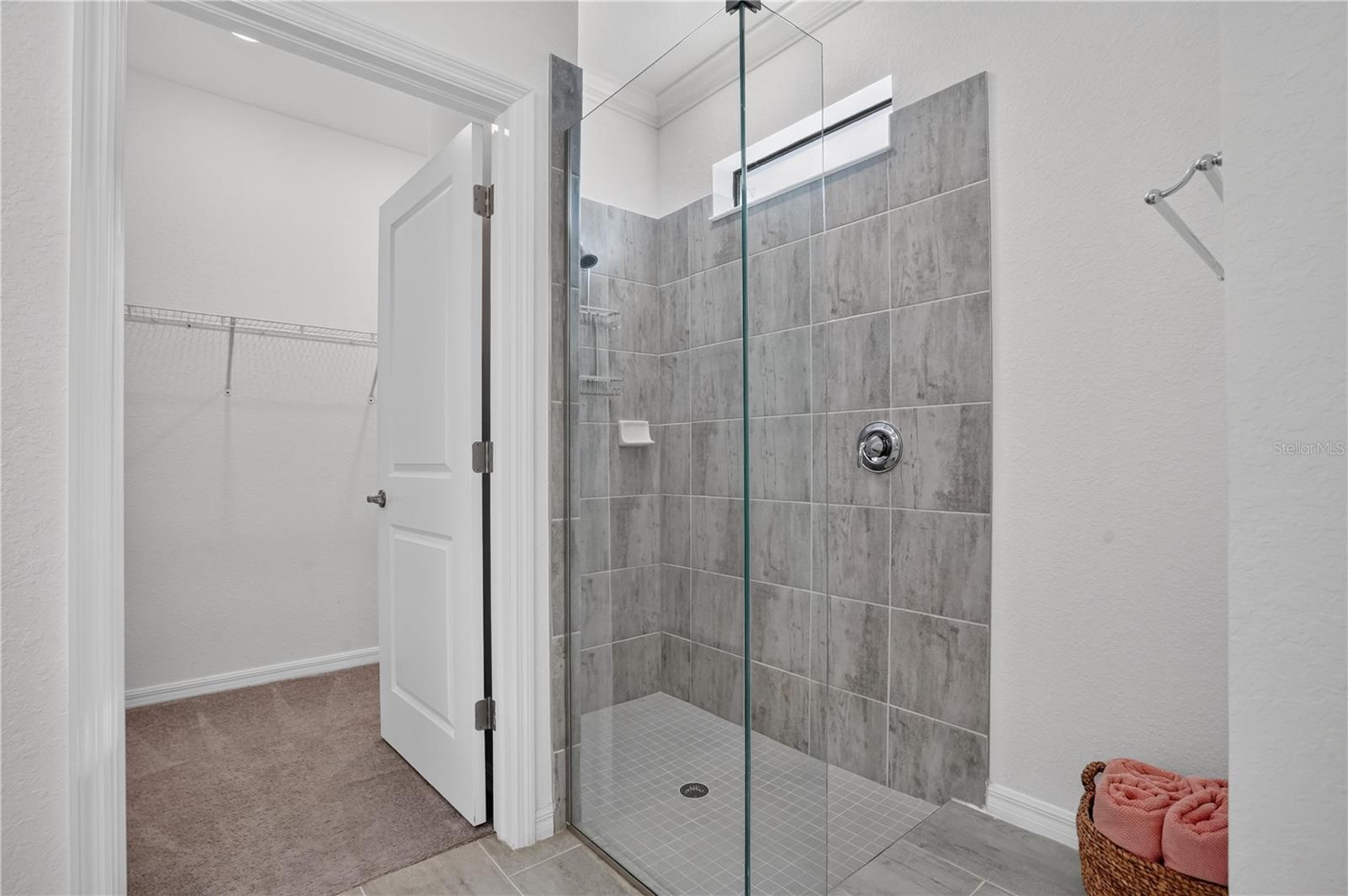 24237 SPARTINA DR