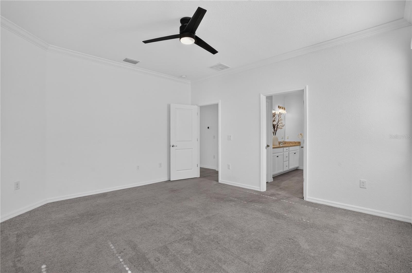 24237 SPARTINA DR