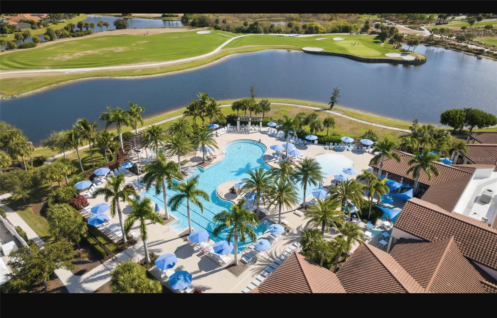 24237 SPARTINA DR