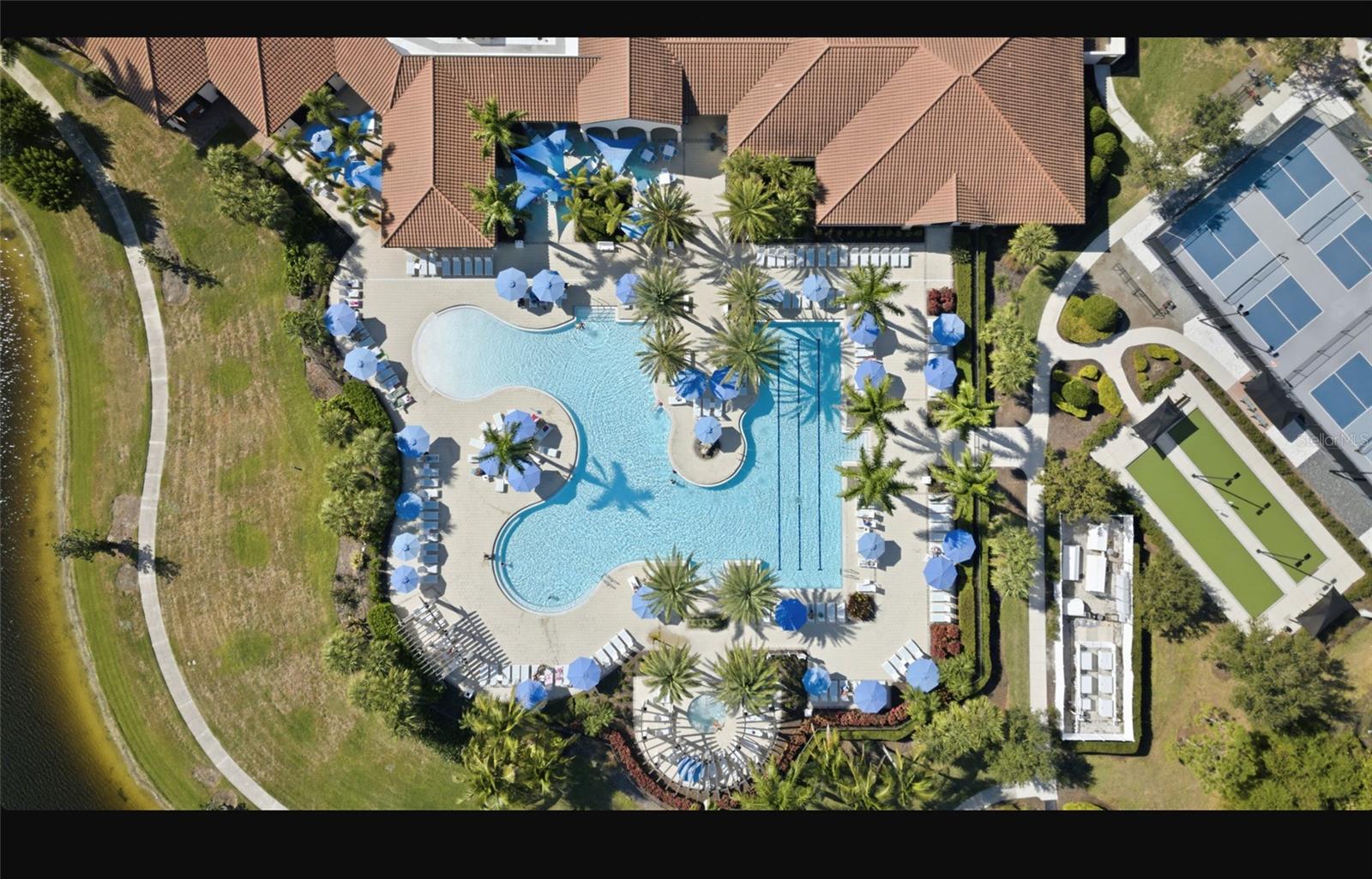 24237 SPARTINA DR