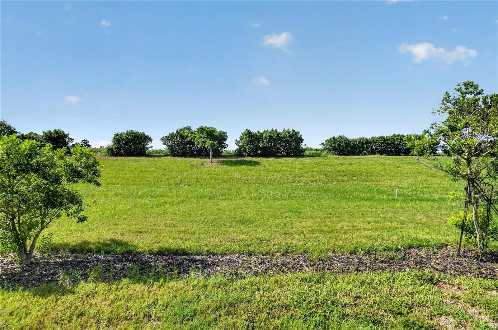 24237 SPARTINA DR