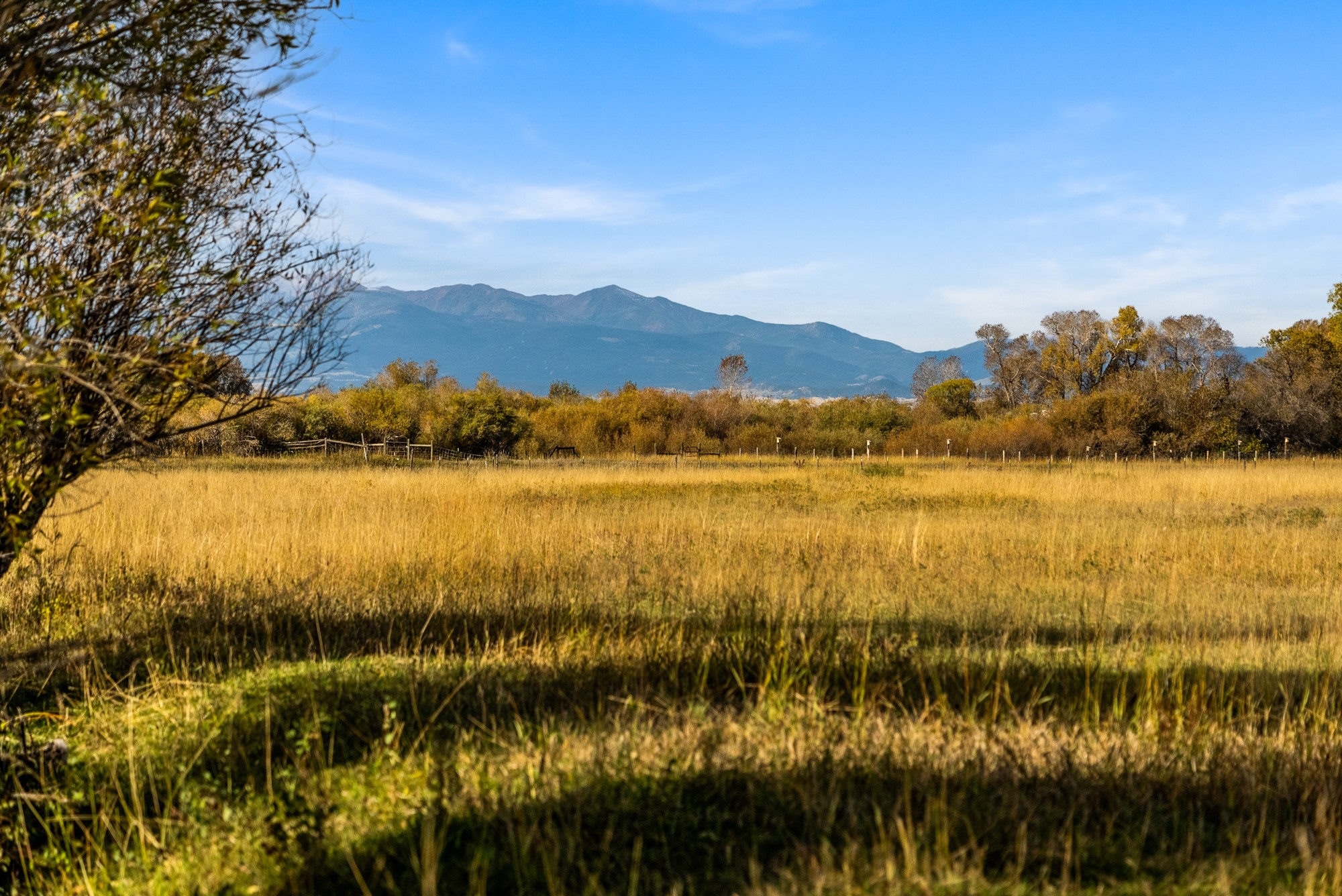 42 ac Mckeown Lane