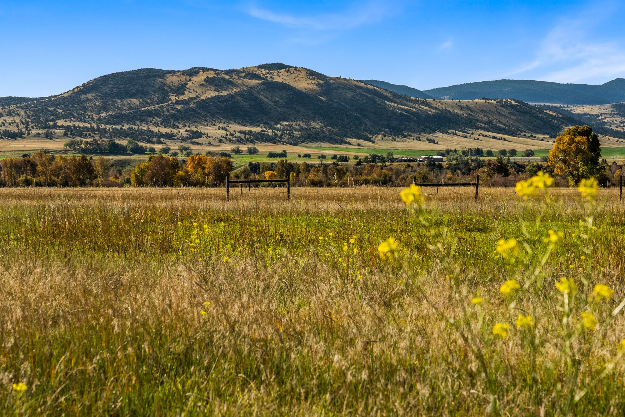 42 ac Mckeown Lane