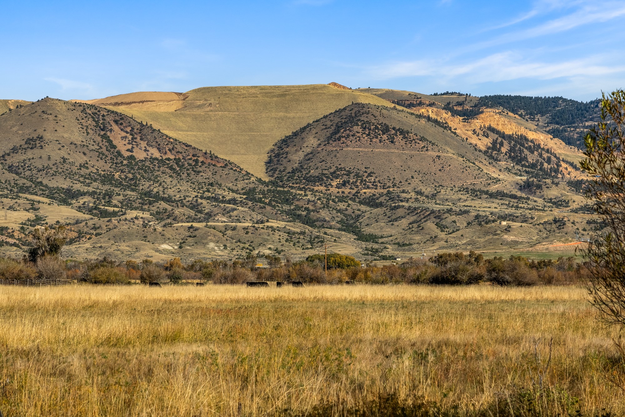 42 ac Mckeown Lane