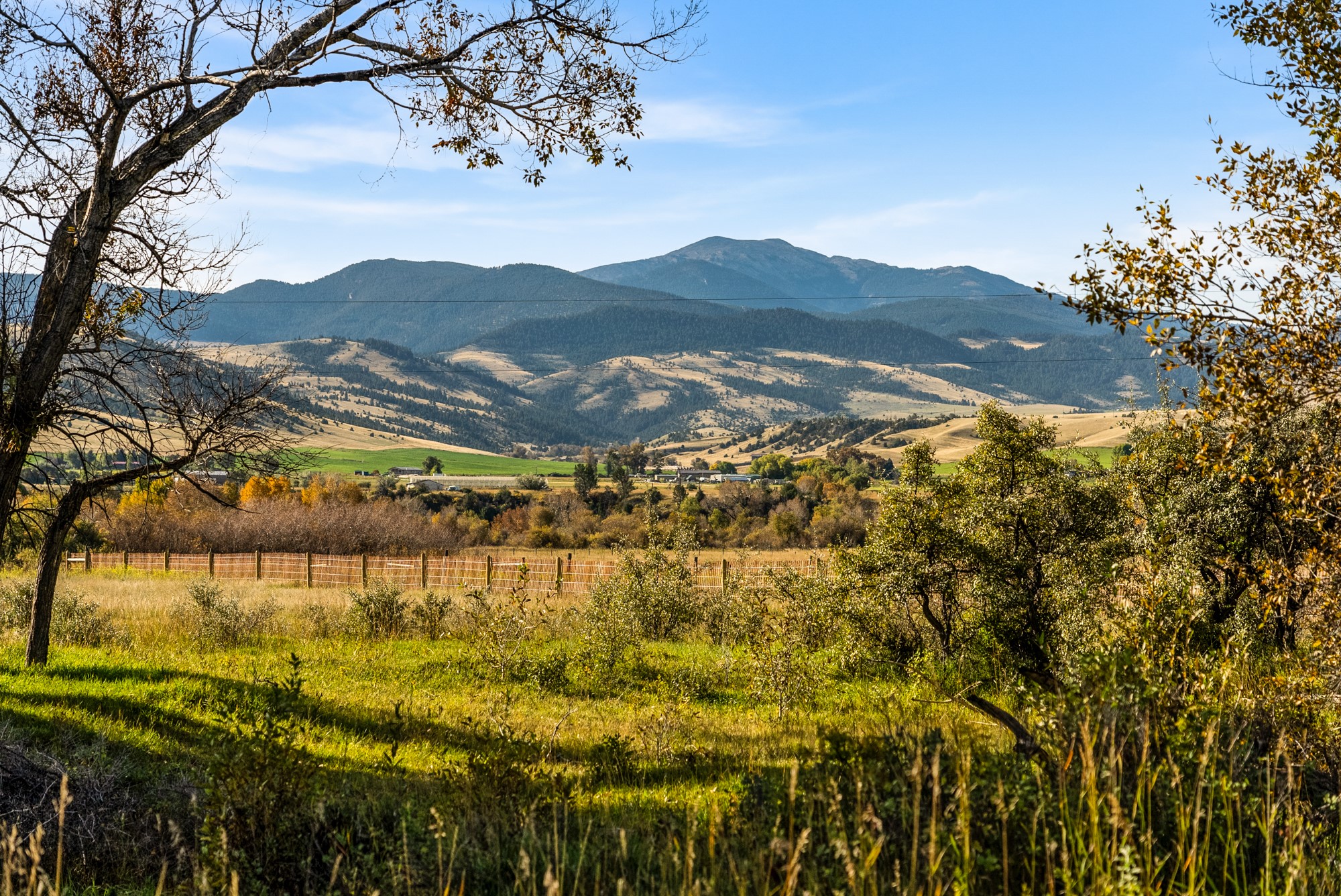 42 ac Mckeown Lane