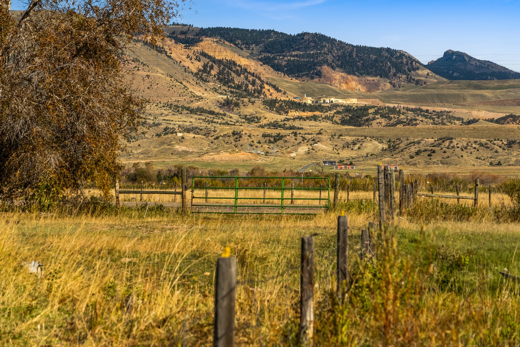 42 ac Mckeown Lane