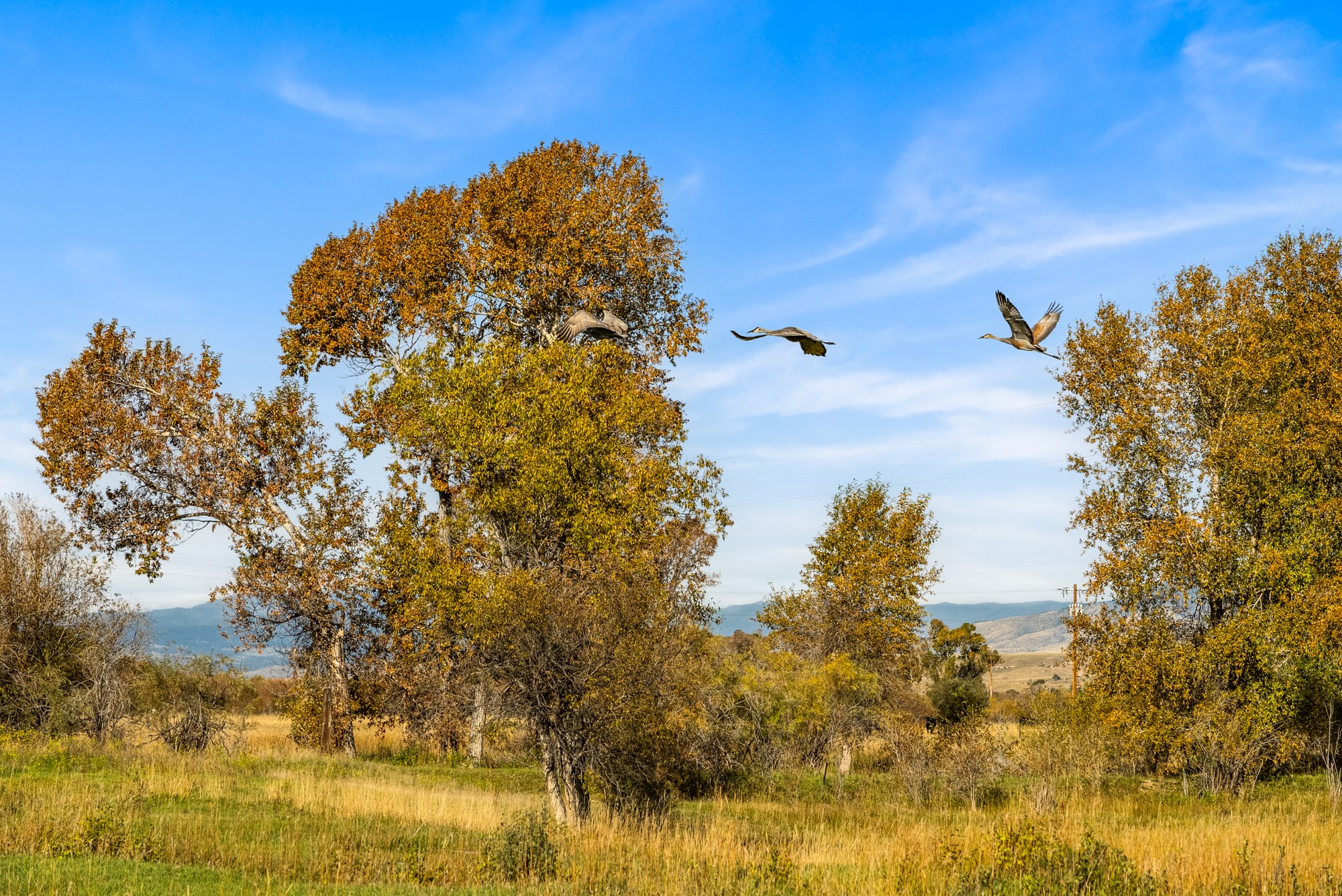 42 ac Mckeown Lane