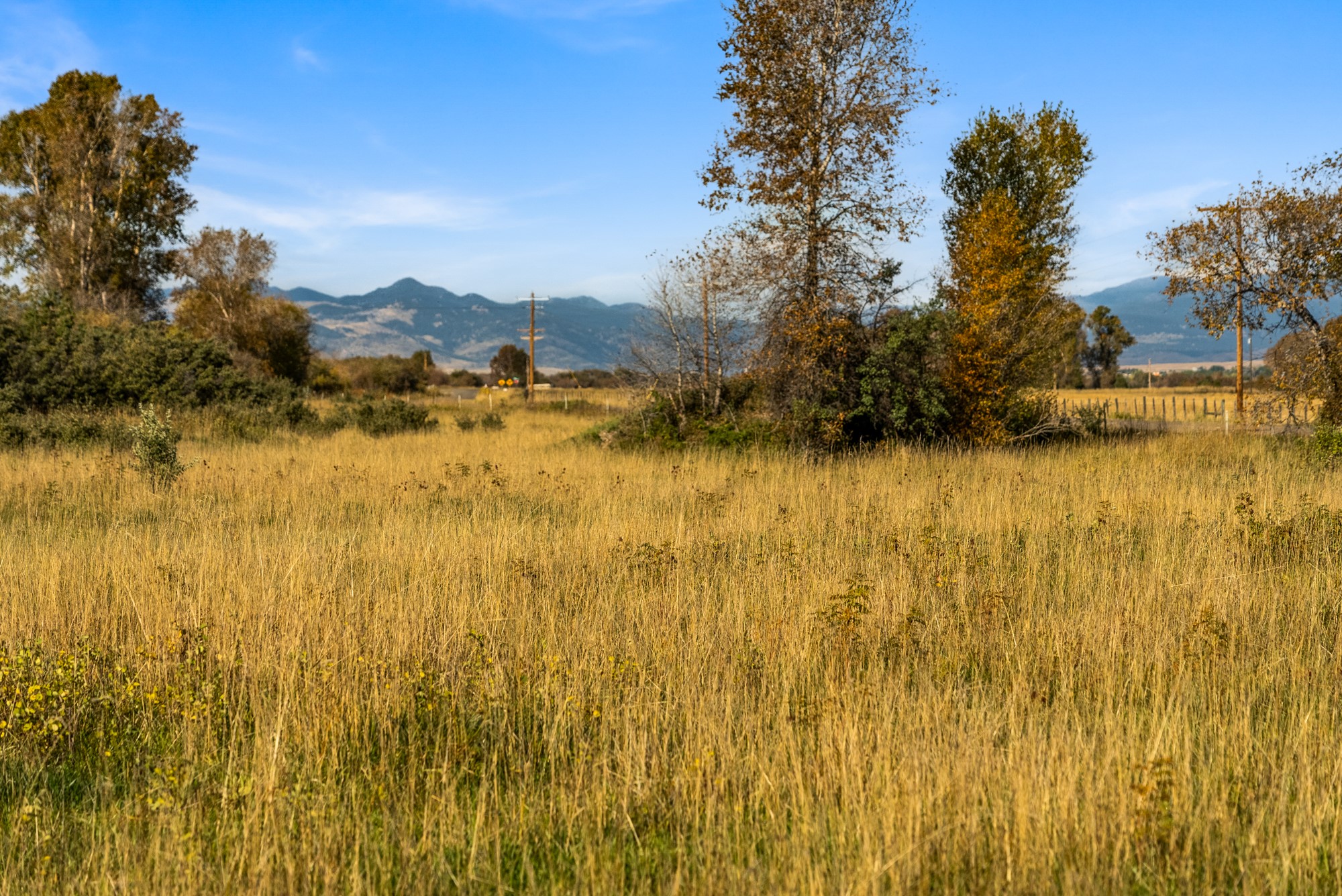 42 ac Mckeown Lane