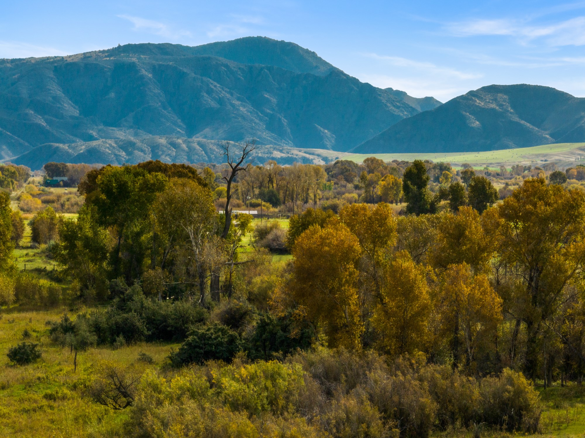 42 ac Mckeown Lane