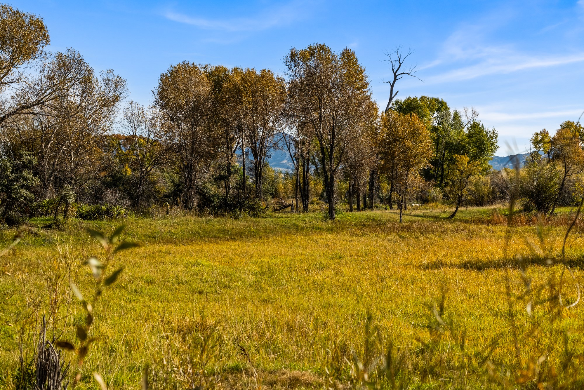 42 ac Mckeown Lane