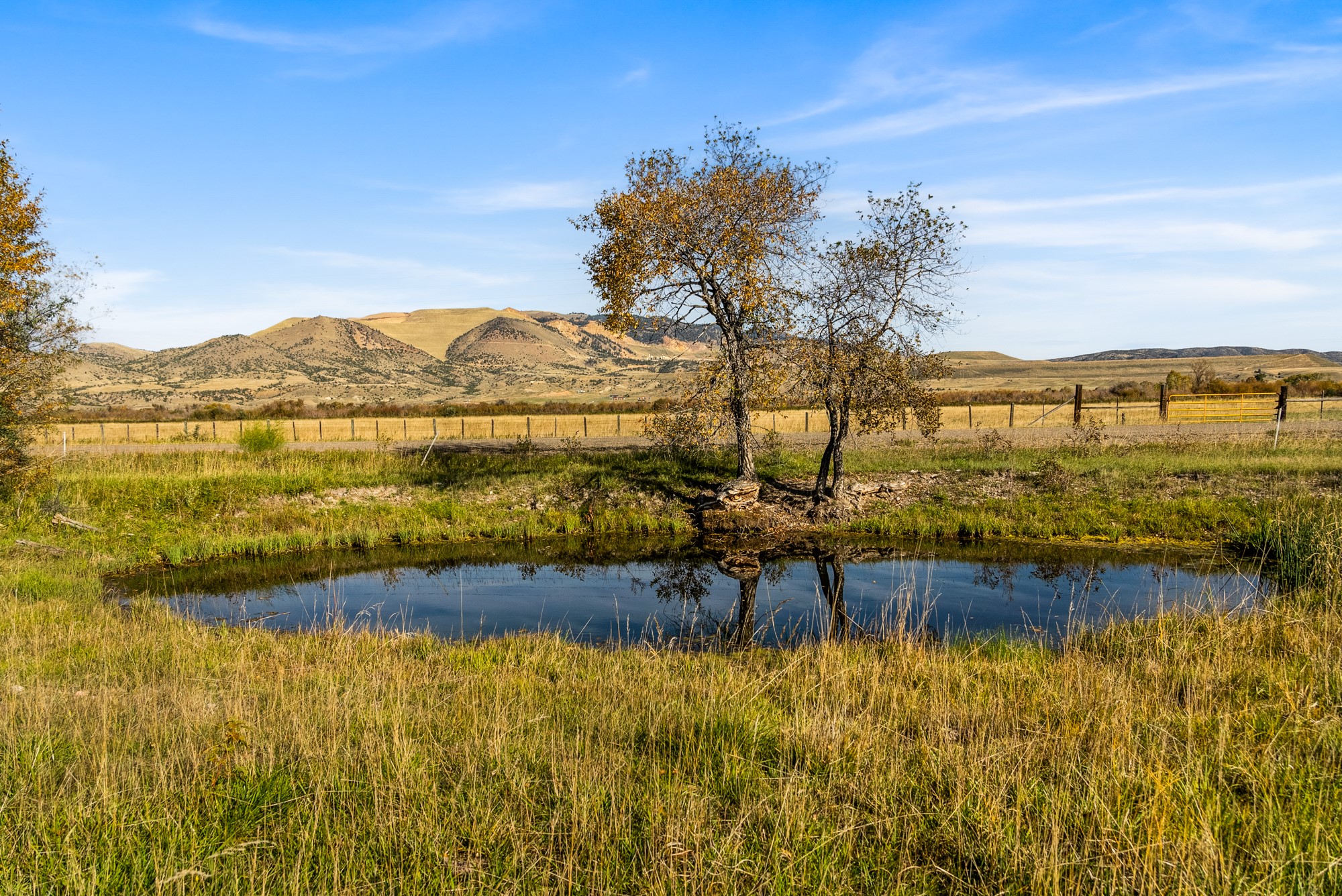 42 ac Mckeown Lane