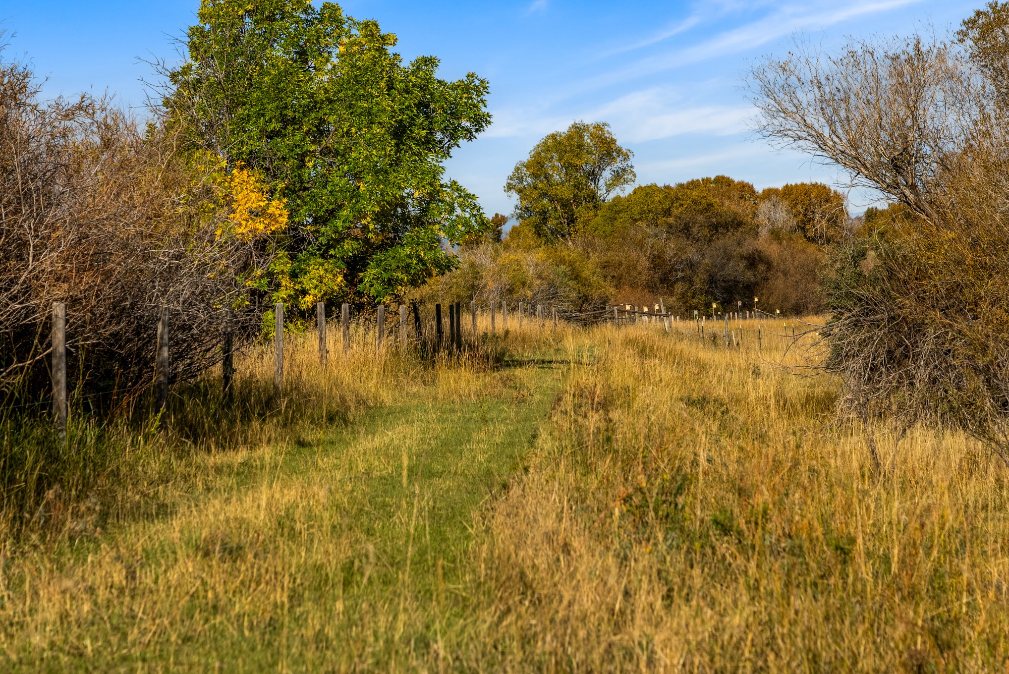 42 ac Mckeown Lane