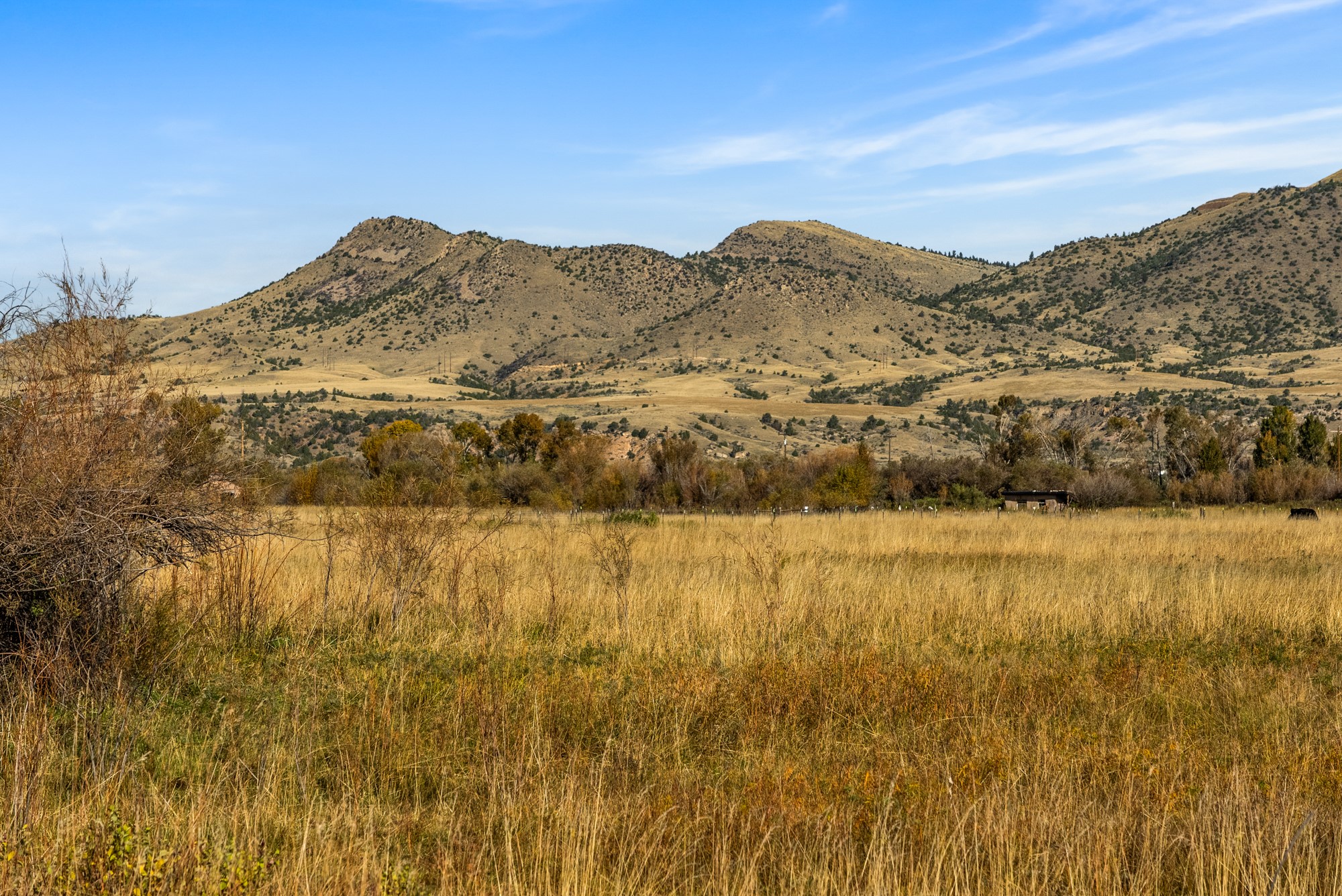 42 ac Mckeown Lane