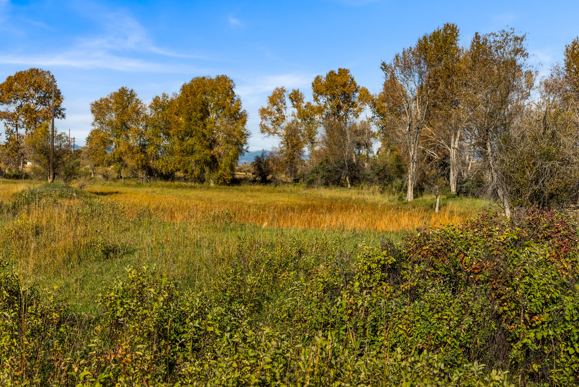 42 ac Mckeown Lane