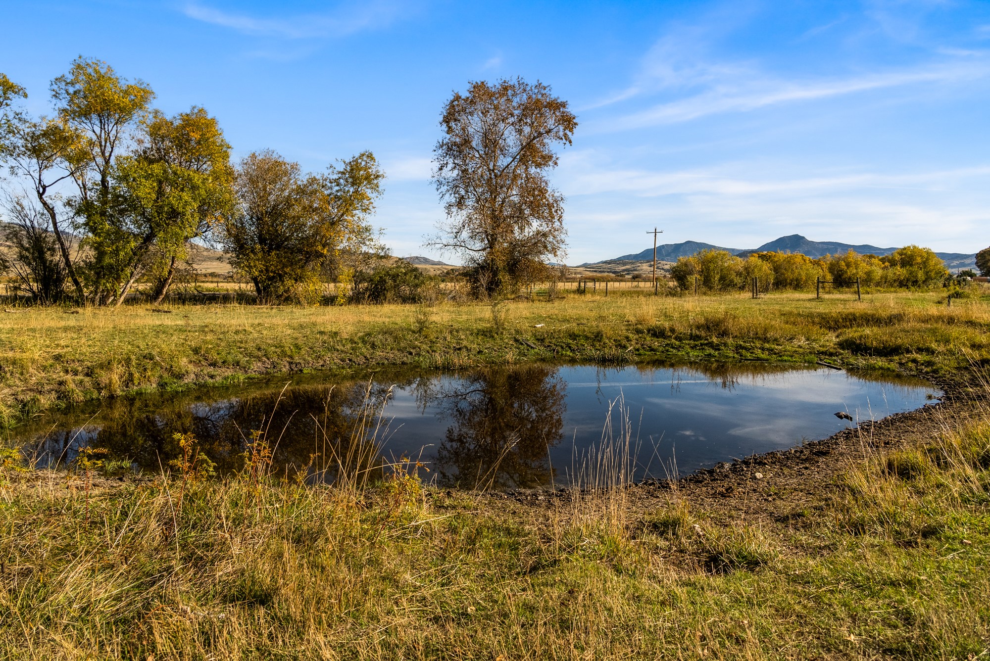 42 ac Mckeown Lane