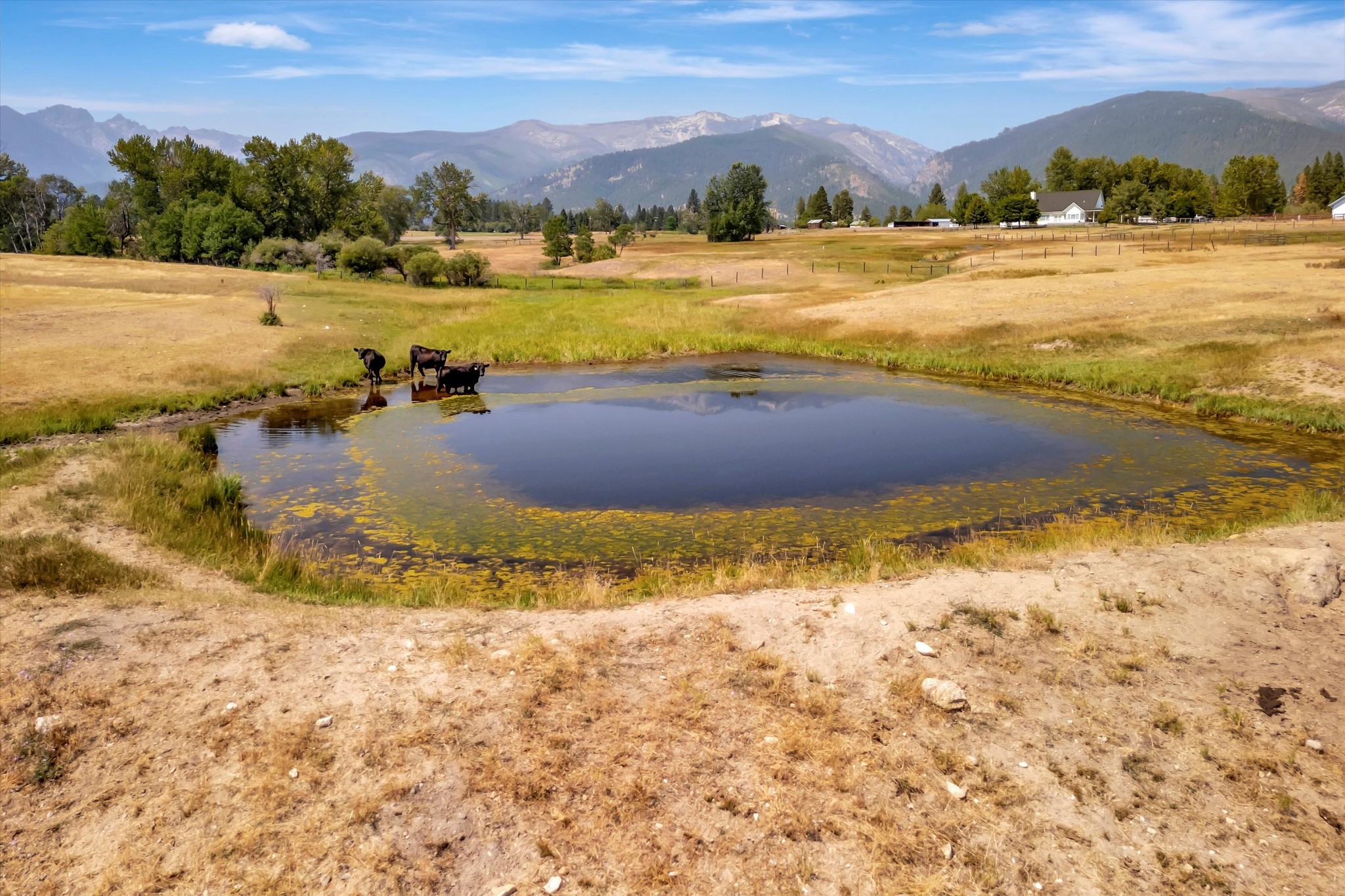 2377 Middle Bear Creek Road