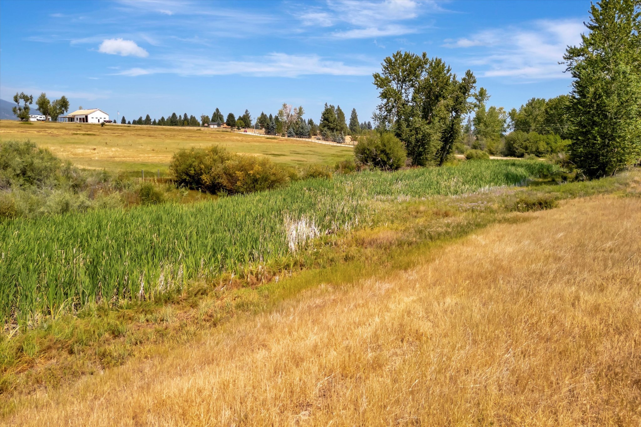 2377 Middle Bear Creek Road