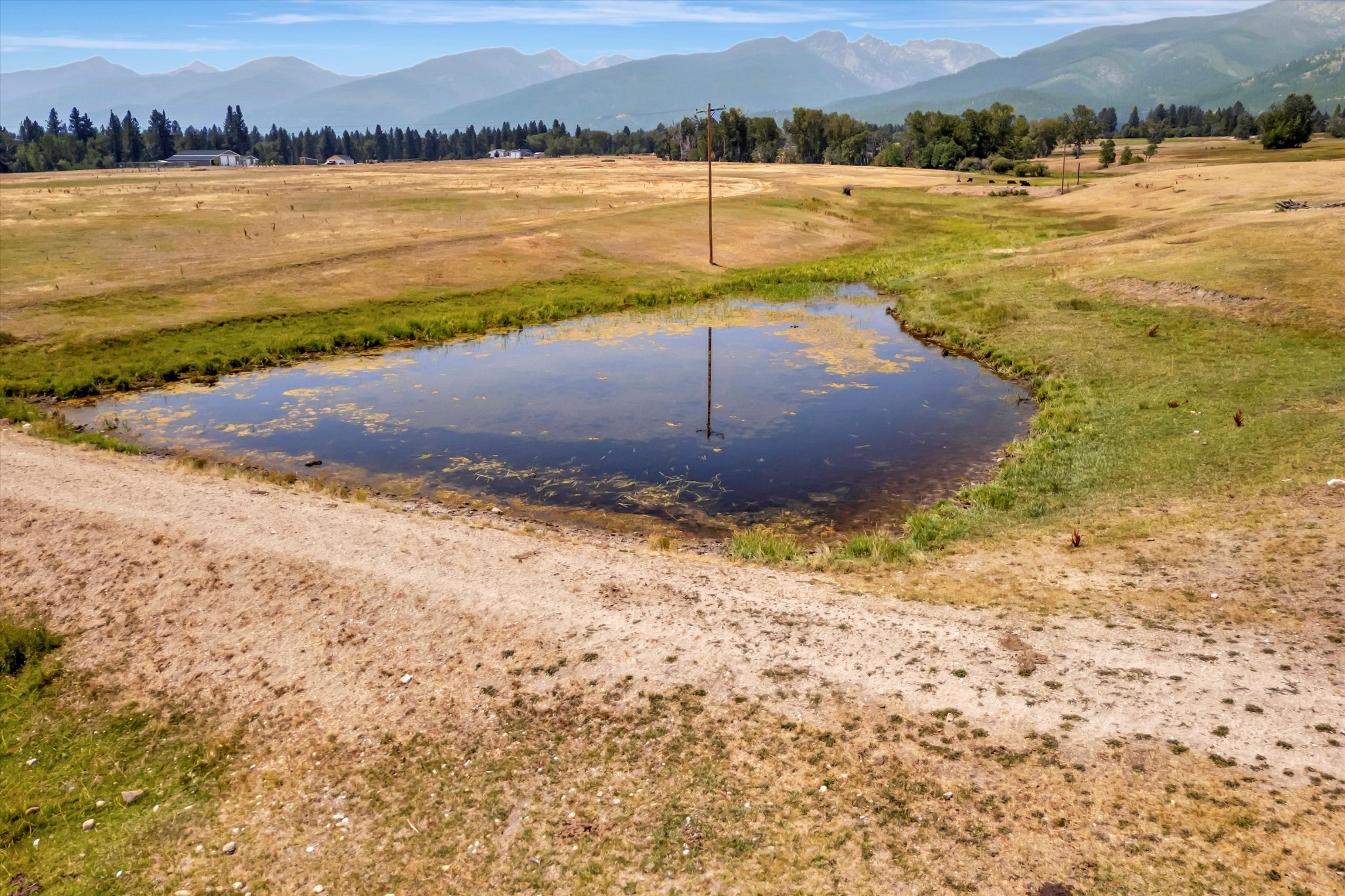 2377 Middle Bear Creek Road