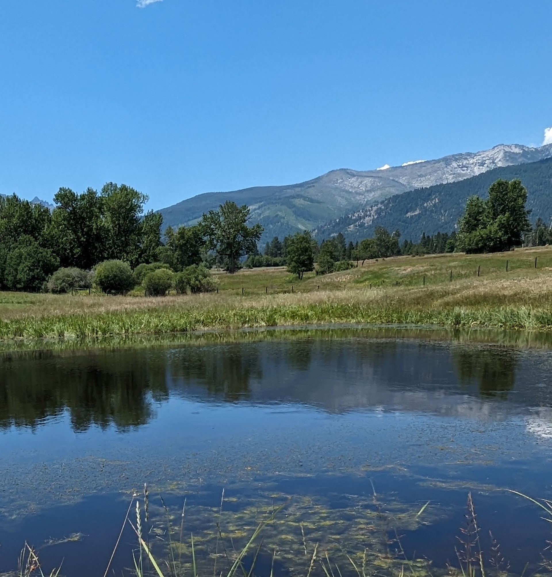 2377 Middle Bear Creek Road