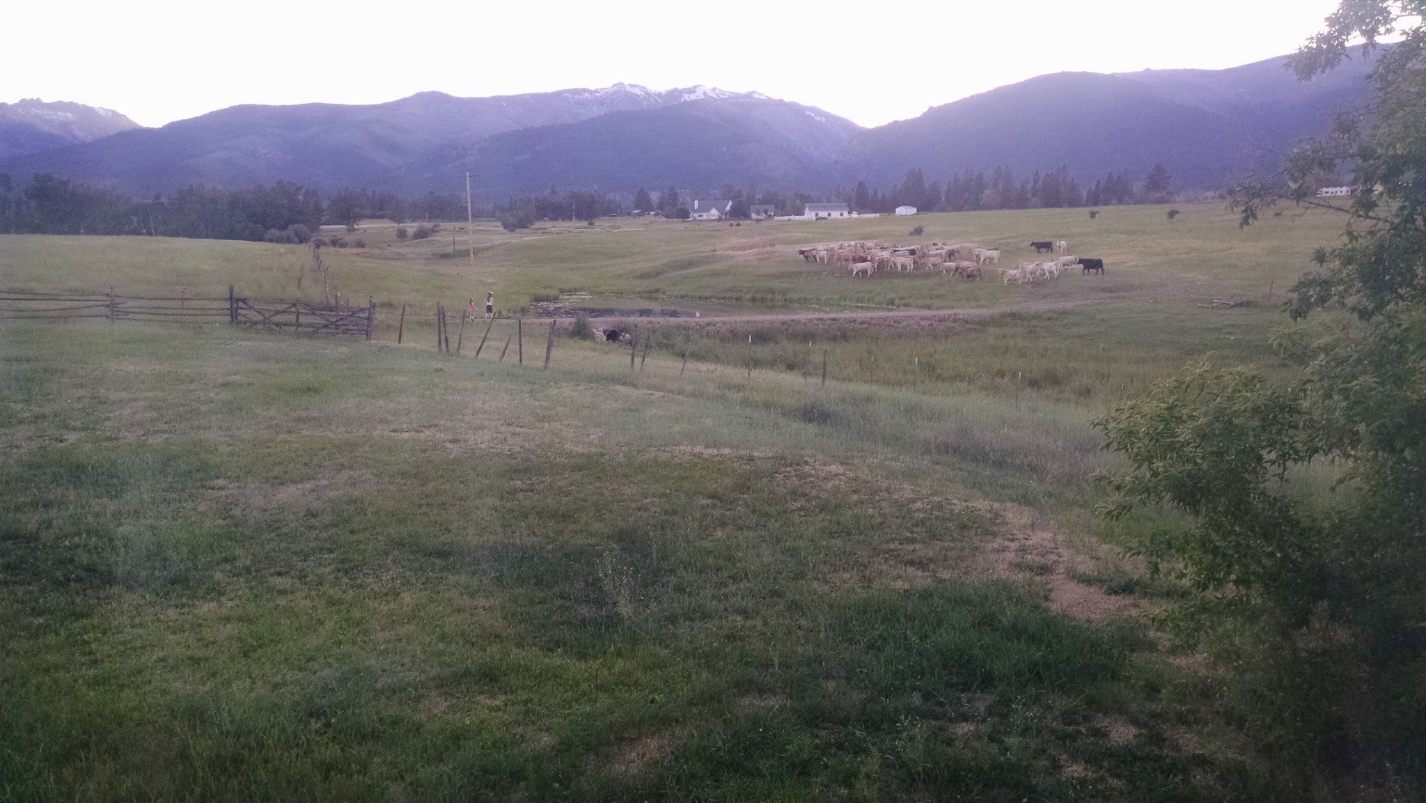 2377 Middle Bear Creek Road
