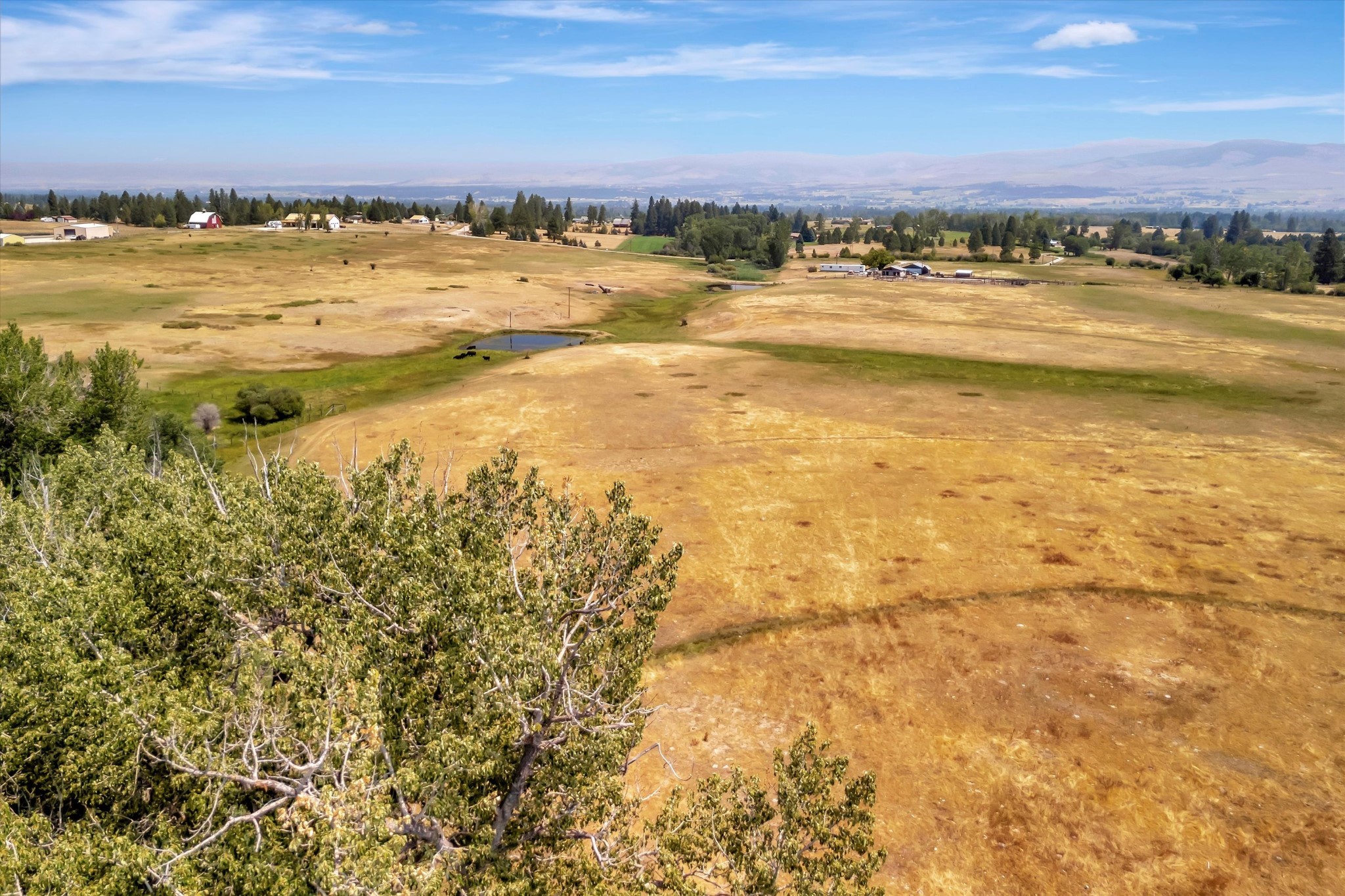 2377 Middle Bear Creek Road