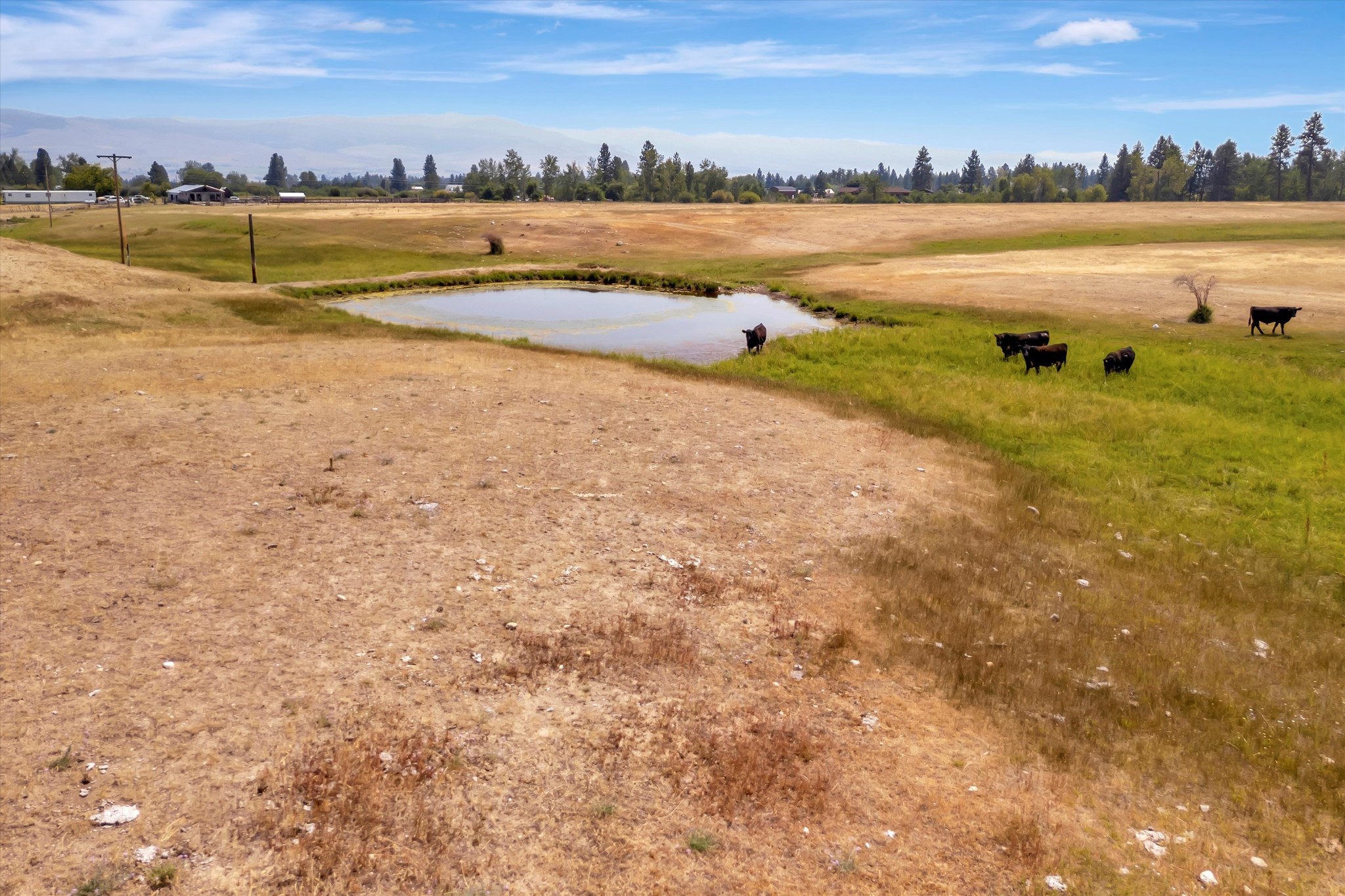 2377 Middle Bear Creek Road