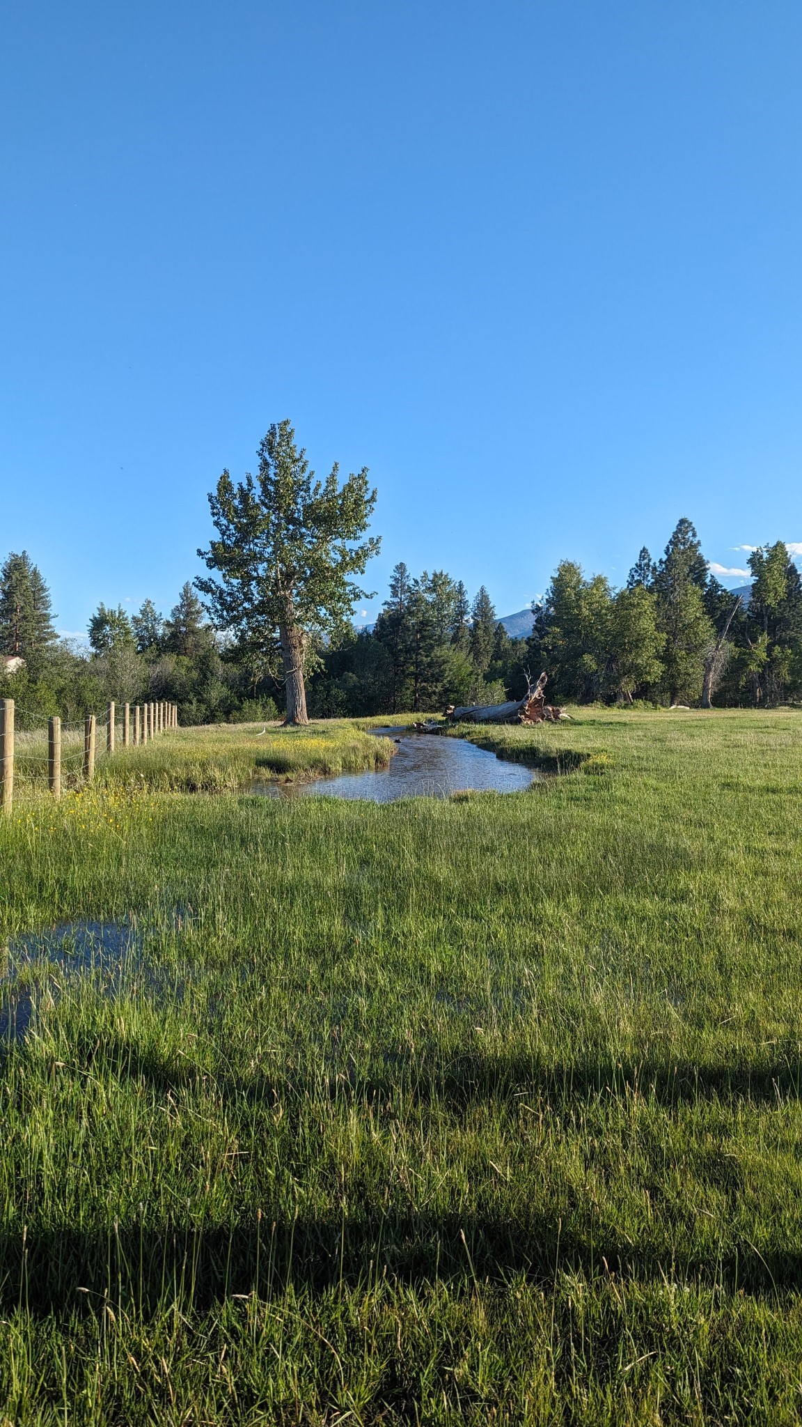 2377 Middle Bear Creek Road