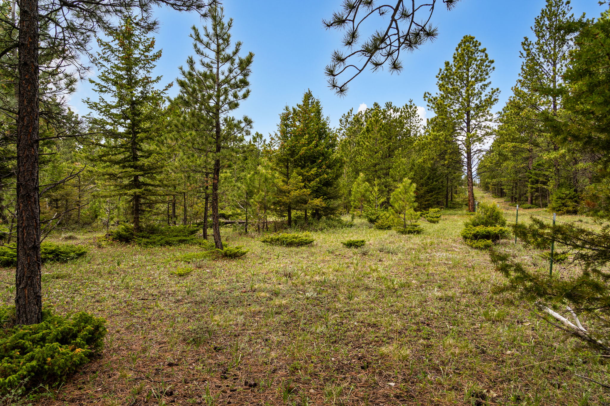125 Golden Bear Lane