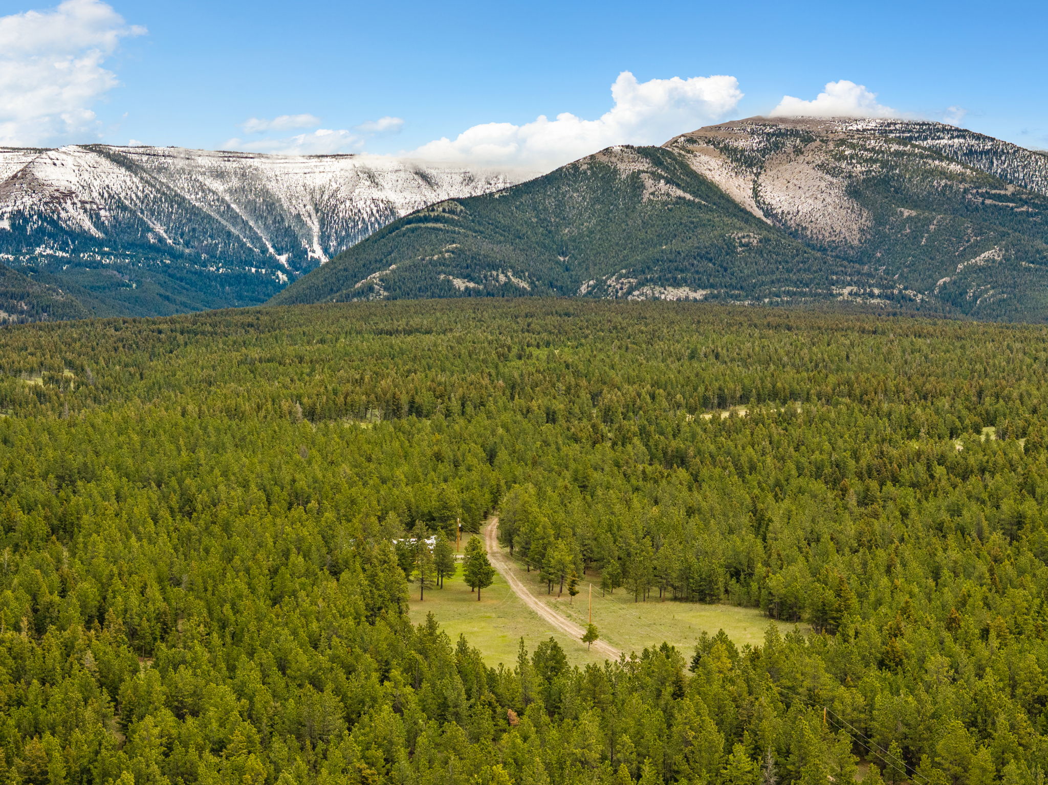 Forest acreage and a winding dirt track below snow-dusted mountain ridges.