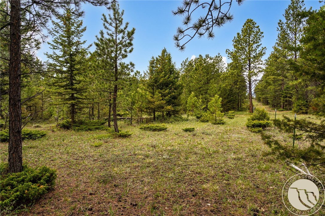 125 Golden Bear Lane