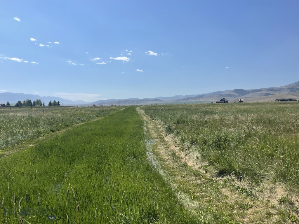 118 Hayfield Loop Trail