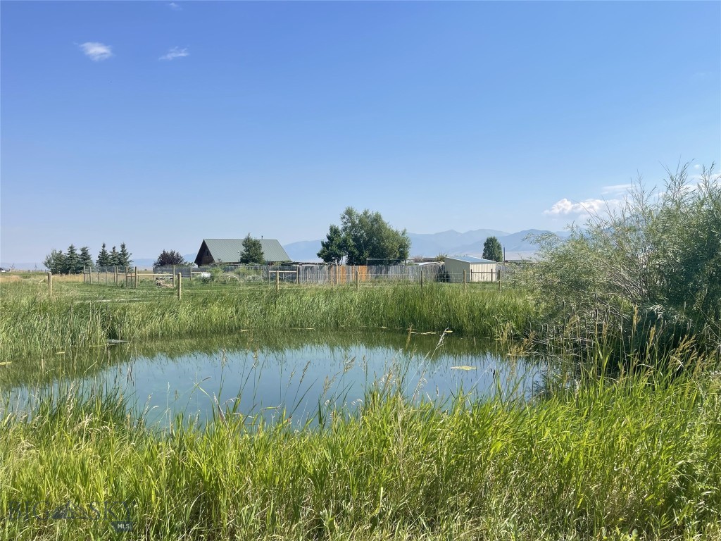 118 Hayfield Loop Trail