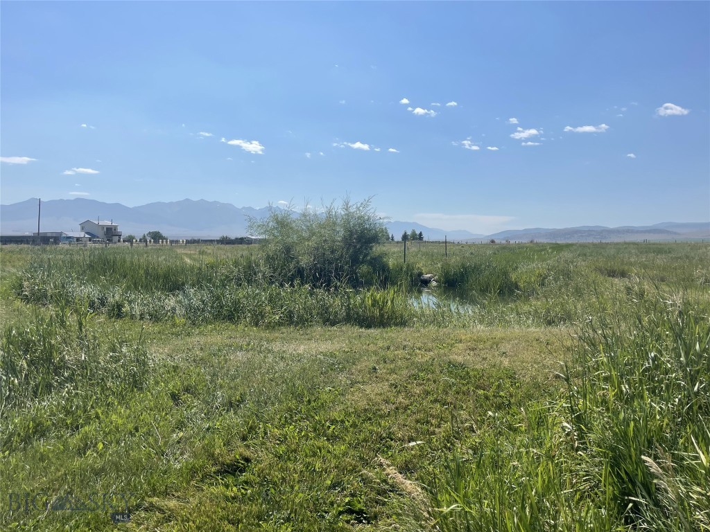 118 Hayfield Loop Trail