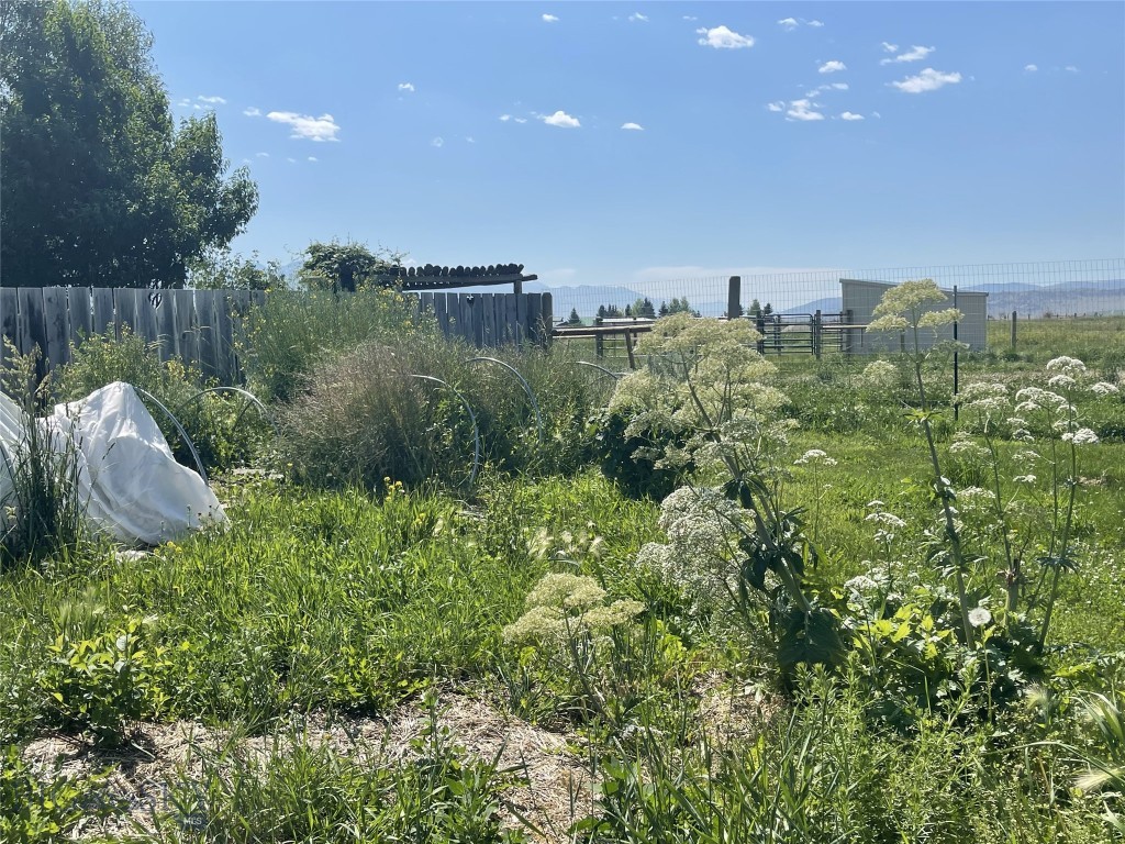 118 Hayfield Loop Trail