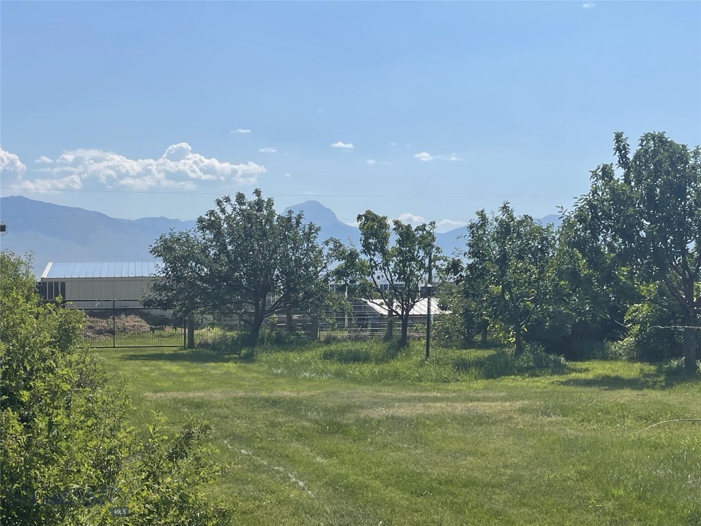 118 Hayfield Loop Trail