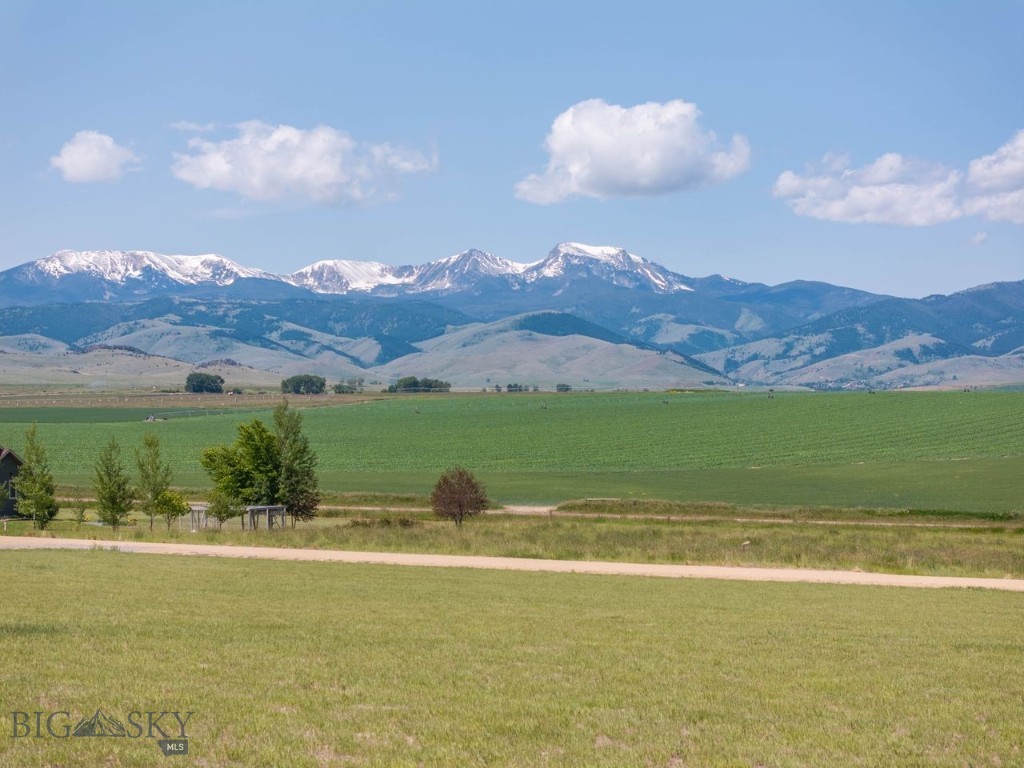 TBD Whitetail Drive