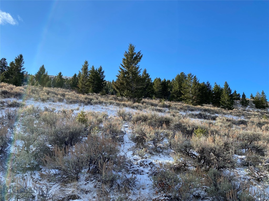 320 Acres Cold Creek Retreat