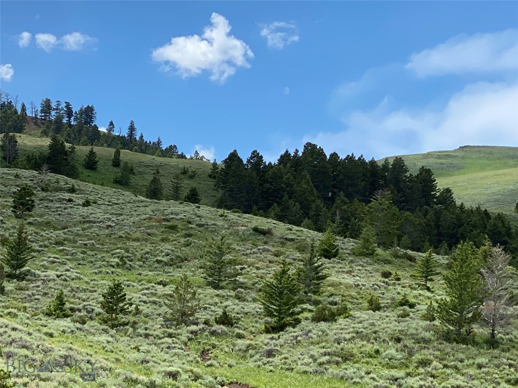 320 Acres Cold Creek Retreat