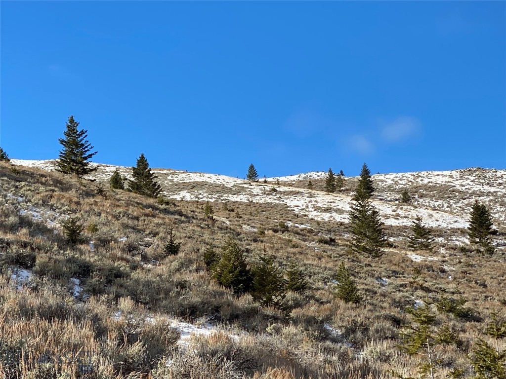 320 Acres Cold Creek Retreat