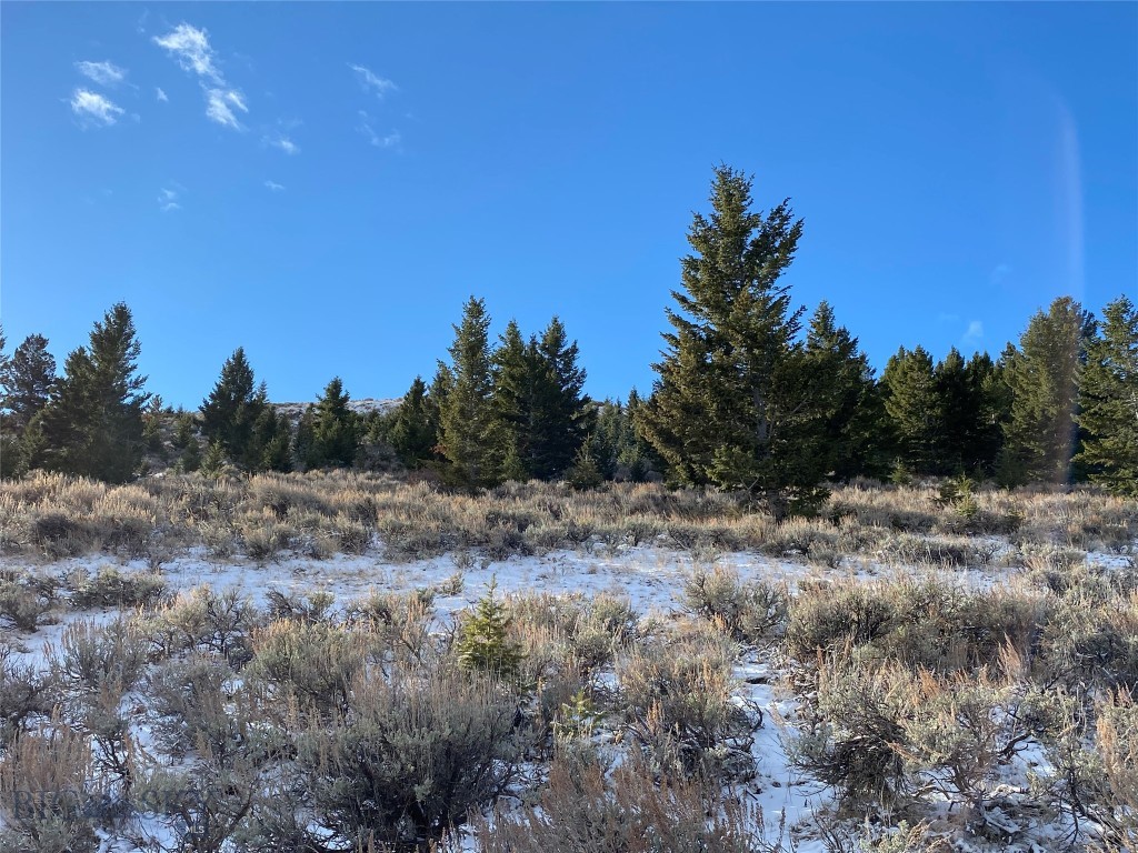 320 Acres Cold Creek Retreat